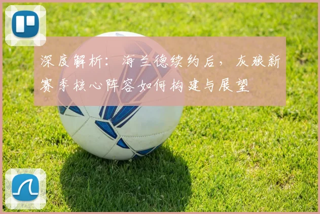 深度解析：海兰德续约后，灰狼新赛季核心阵容如何构建与展望